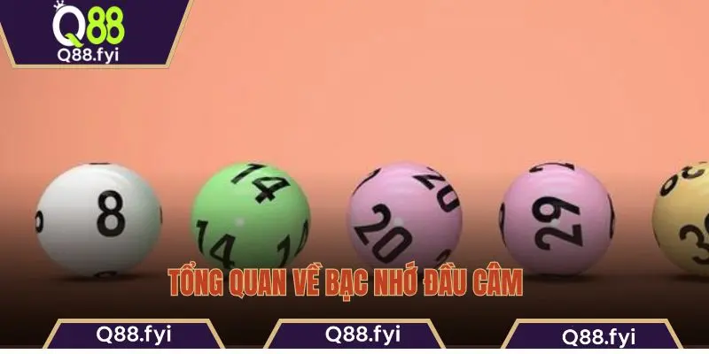 Tổng quan về bạc nhớ đầu câm  