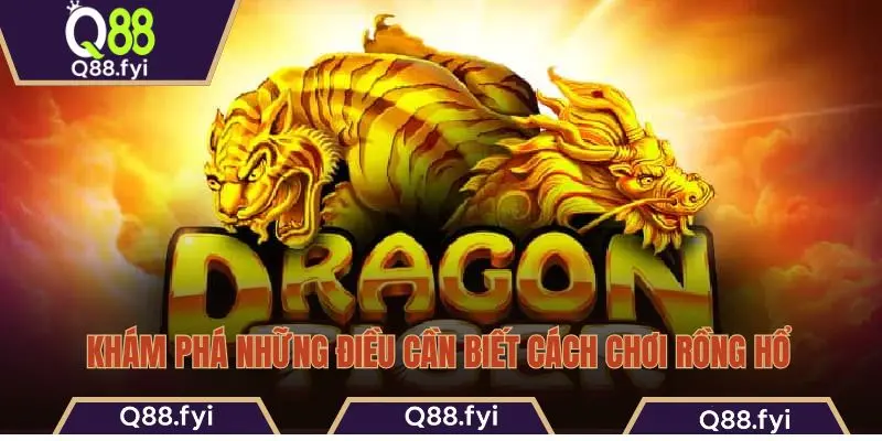 Khám phá những điều cần biết cách chơi Rồng Hổ  