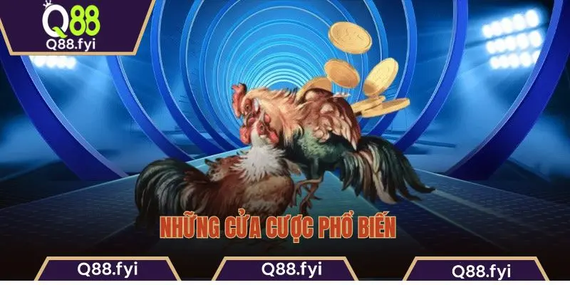 Những cửa cược phổ biến  