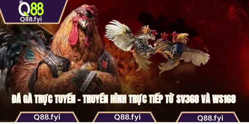 Đá gà trực tuyến – Truyền hình trực tiếp từ SV368 và WS168