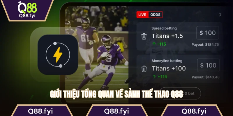 Giới thiệu tổng quan về sảnh thể thao Q88